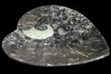 Heart Shaped Fossil Goniatite Dish #61266-1